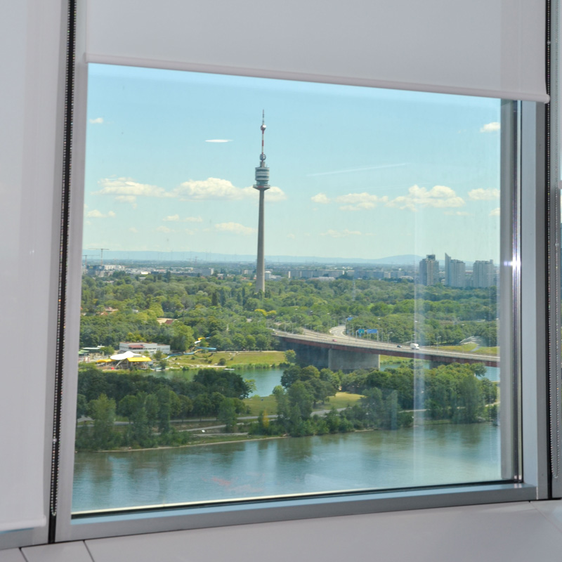 Aussicht auf den Donauturm im neuen Büro in Wien